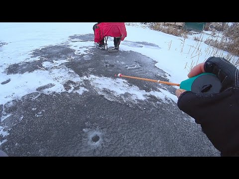 Видео: УРА! ПЕРВЫЙ ЛЁД 2022 - 2023! ОПУСТИЛ БЕЗМОТЫЛКУ в ТРАВУ и ОТКРЫЛ СЕЗОН! Зимняя рыбалка на окуня!
