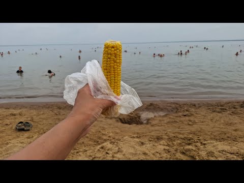 Видео: Отдых на озере Большое Яровое Алтайский край цены развлечения