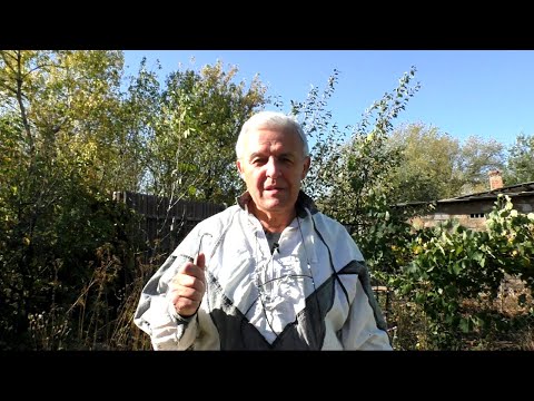 Видео: Нужно убрать лишние рамки из улья.