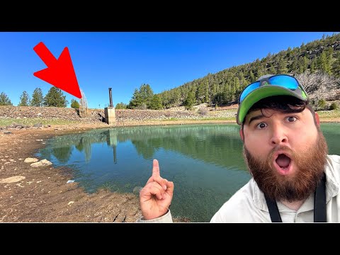 Видео: Есть ли в этом горном озере чудовищные рыбы? (ДИКАЯ)