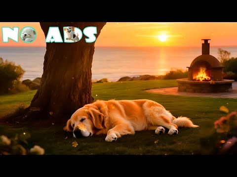 Видео: 🐕 12 часов лечебной музыки для собак🌙 Музыка, которая способствует спокойному сну щенков | Звуки Н