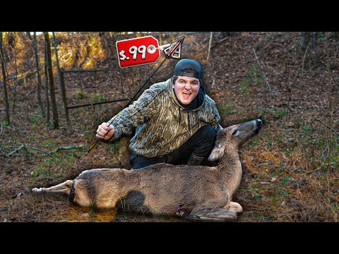 Видео: САМЫЙ ДЕШЕВЫЙ БРОУДХЕД В МИРЕ против ГИГАНТСКОЙ НЯНИ-ЛАНИ!
