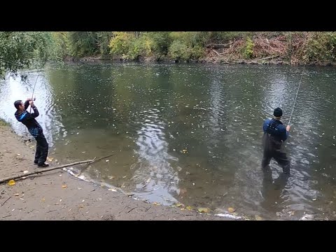 Видео: Закрываем сезон рыбалки с Максимом и с Владиславом @Живу на Лайте