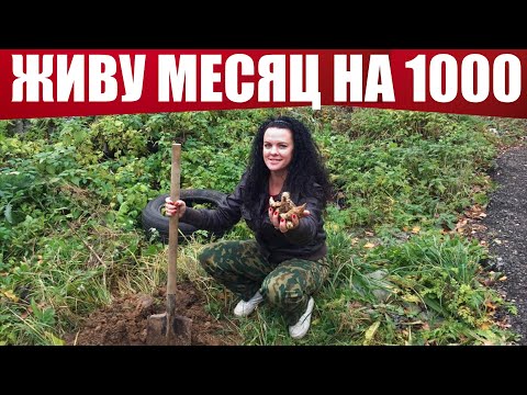 Видео: ВЫЖИВАЮ 30 ДНЕЙ НА 1000 РУБЛЕЙ (день 14-16)