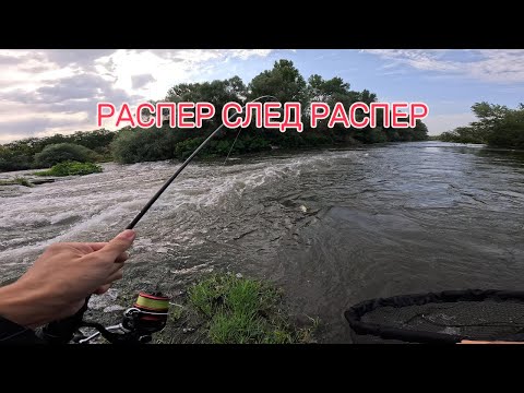 Видео: РИБОЛОВ НА РАСПЕРИ ПО Р.МАРИЦА!