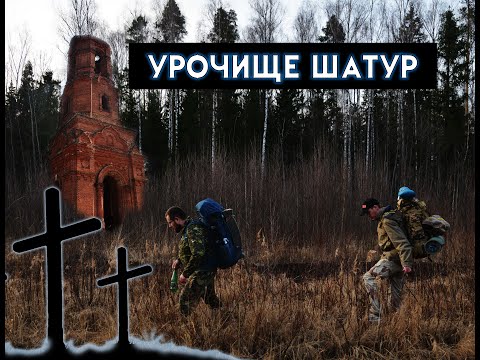Видео: Древний Шатур, заброшенное кладбище, 300 летняя сосна и жуткий лес.