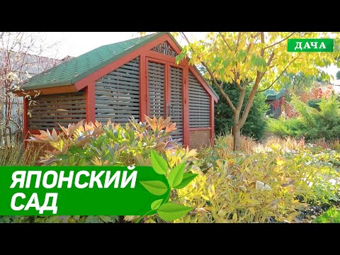 Видео: Японский Сад | Ландшафтный дизайн японского сада | Гармоничное сочетания элементов японского сада