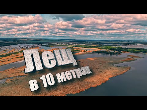 Видео: Оторвались по ЛЕЩУ в 10 метрах от берега р. Свияга. ХИТРЫЙ ЛОСЬ плывет по реке. Рыбалка с ночевкой.