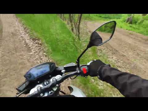 Видео: Viper zs200-3 в лісі