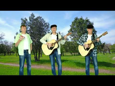 Видео: Далеко, далеко журавли полетели . Дворовая песня . Виртуальные братаны