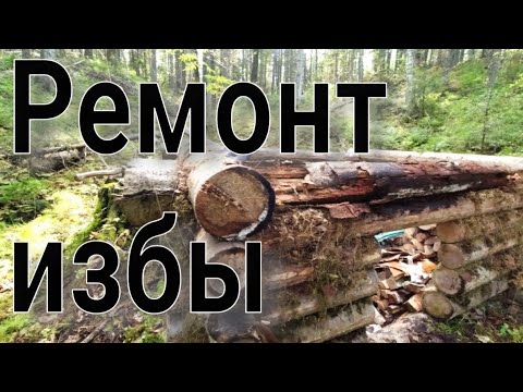 Видео: Прошел до ближайшей избушки вскрыл крышу и понеслось замена верхнего венца поменял доски на нарах