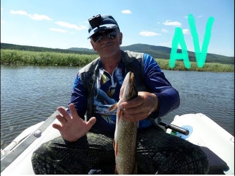 Видео: Три часа утреннего клева#Мелководный кренк