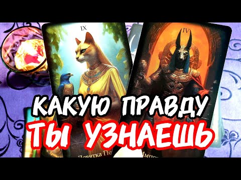 Видео: 💥🚀Вот-вот 🔥КАКУЮ ПРАВДУ ТЫ УЗНАЕШЬ СКОРО🎯И Будешь УДИВЛЕНА❗#tarot #таро #гадание #топ #тренды 