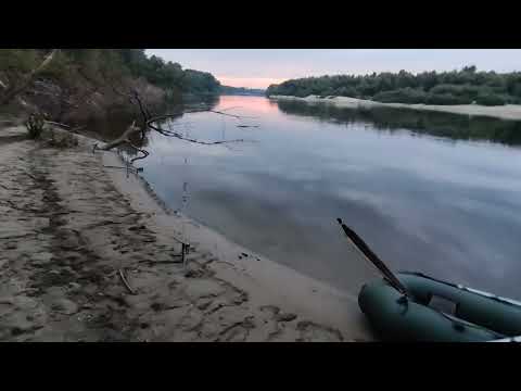 Видео: ЛОВЛЯ СОМА НА ЗАКИДУШКУ В ДЕСНІ #fishing #риболовля #соми @TEULU999
