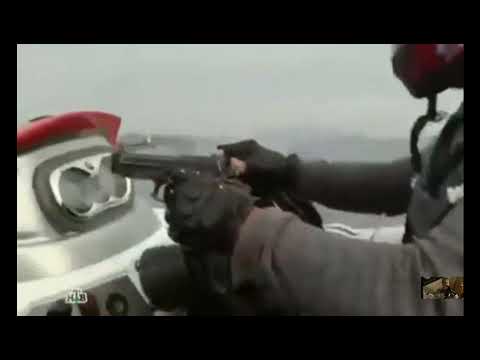 Видео: |Песня хит ✨ ||кот и мура|