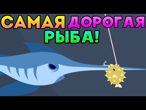 Видео: САМАЯ ДОРОГАЯ РЫБА! - Cat Goes Fishing