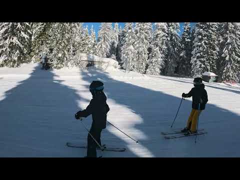 Видео: 16 януари 2025 г.