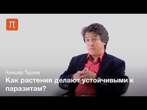 Видео: Генная инженерия растений - Алишер Тураев