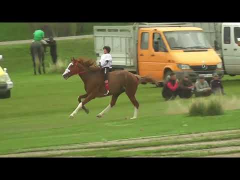 Видео: Топ байге