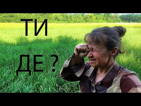 Видео: Живу одна в лісі і шукаю сірих журавлів. Як знімати диких птахів