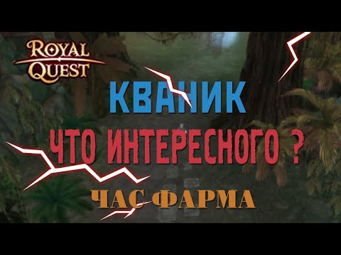 Видео: 🔥Royal Quest - #42/1 час фарма/Кваник