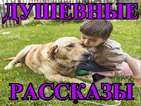 Видео: ДУШЕВНЫЕ  РАССКАЗЫ❤️МИХАЛЫЧ❤️ДУРА❤️СВАХА ВАСИЛИЙ❤️ЛЕДЕНЦЫ❤️БЕЗЛИКАЯ❤️СЧАСТЬЕ ДЛЯ ДАШИ @TEFI РАССКАЗЫ