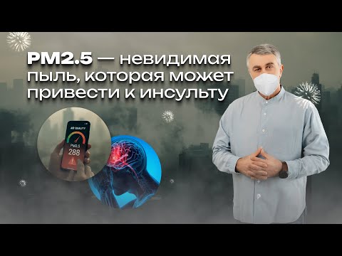 Видео: PM2.5 — невидимая пыль, которая может привести к инсульту