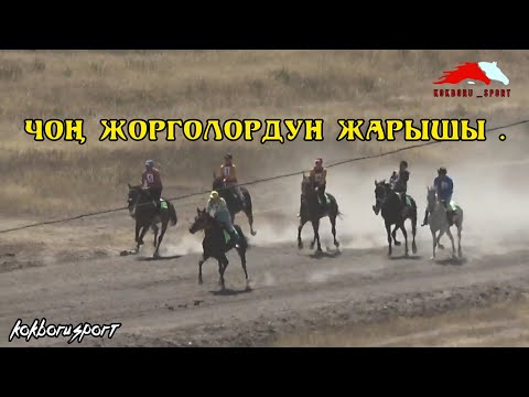Видео: Чоң жорголордун жарышы. Акыркы айлампада жетип келди 😱 (31-08-22)