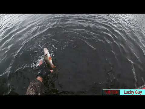 Видео: Экстремальная Рыбалка, Рыбалка на окуня в Сентябре