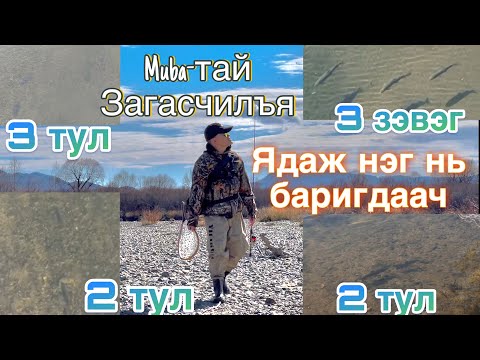 Видео: ТУЛ Үзүүлье...🦈 Muba-тай загасчилъя🎣