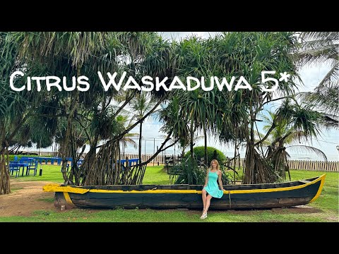 Видео: Citrus Waskaduwa 5* Шри-Ланка 2023 - стоит ли ехать, за и против