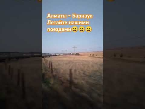 Видео: #казахстан #алматы #азия #путешествие