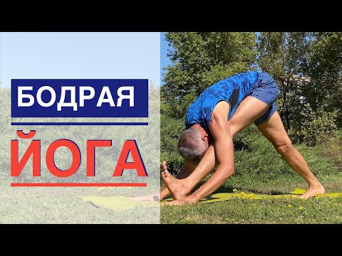 Видео: Бодрая Йога. Студия SURYA. #йога , #surya , #хатха,