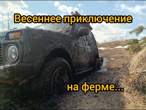 Видео: Металлокоп с тх 850...просыпаемся