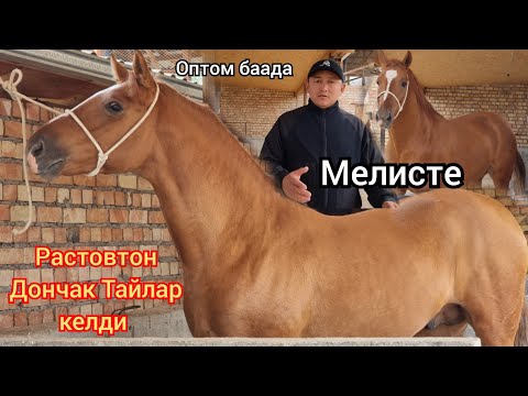 Видео: ТАЙЛАР САТЫЛДЫ