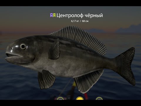 Видео: Русская Рыбалка 4 !!!