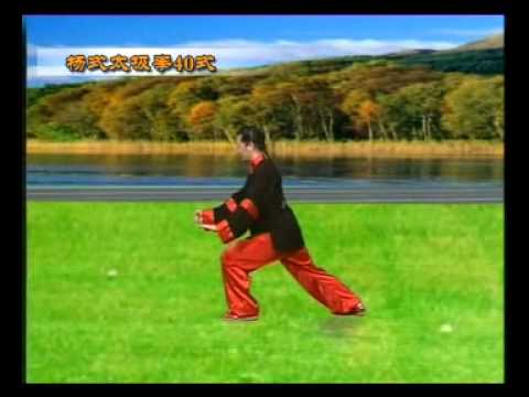 Видео: Тайцзицюань. 40 форм янши. Китайский язык