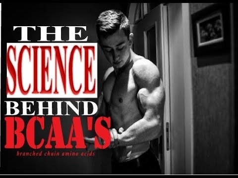 Видео: BCAA-По-добро възтановяване или загуба на пари?(3 научни проучвания)