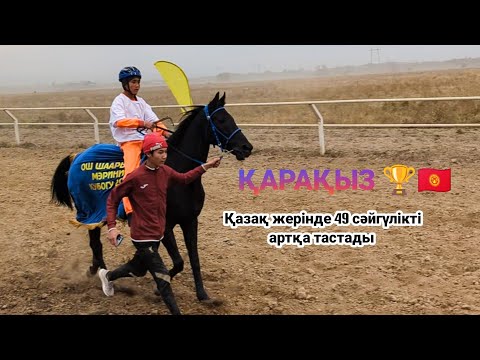 Видео: Қазақ даласын шулатқан Қырғыздың Қарақызы 🇰🇬 