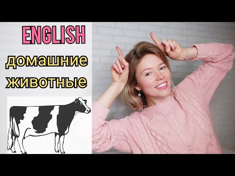 Видео: ДОМАШНИЕ ЖИВОТНЫЕ на английском языке| называю и показываю| 18 слов + тест| animals