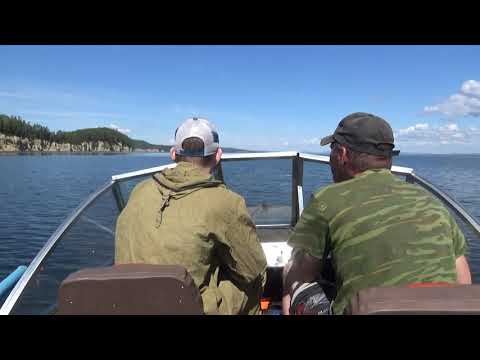 Видео: Усть-илимское водохранилище. июнь.2020