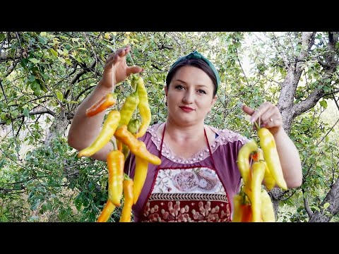 Видео: Ծիծակի Շարոց Ձմեռվա համար - Сушим Перец На Зиму - Շամշադինի Համը - Шамшадин