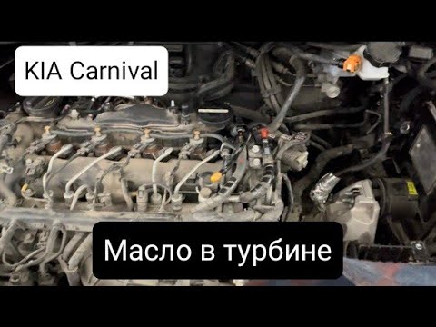 Видео: Kia Carnival 18г.в. 2.2D. Масло в турбине и интеркулере. Проблема решена!!! #томичпроавтомобили #kia