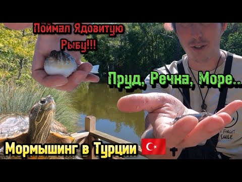 Видео: Поймал Ядовитую Рыбу!!! | Мормышинг в Турции 🇹🇷 | Пруд, Речка, Море...