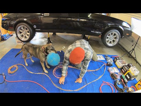Видео: Проводка Mustang с нуля — безболезненная система Pro Harness и предварительный обзор цифровых дат...