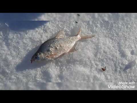 Видео: Что творится на Каратале.