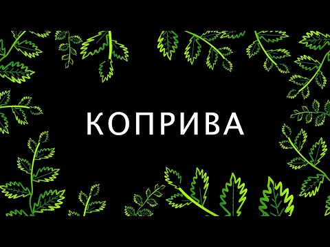 Видео: КОПРИВА (Urtica dioica) - Мария Требен