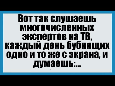 Видео: Вот так слушаешь многочисленных экспертов на ТВ - Смешные анекдоты