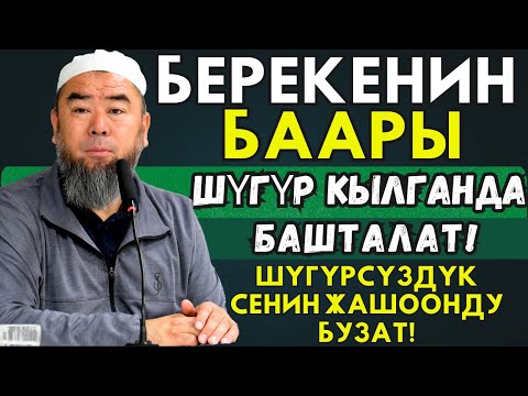 Видео: ШҮГҮРСҮЗДҮК СЕНИН ЖАШООҢДУ БУЗАТ! БЕРЕКЕНИН БААРЫ ШУГУР КЫЛГАНДАН БАШТАЛАТ!