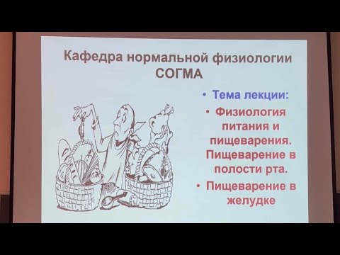 Видео: Часть 1. • ФИЗИОЛОГИЯ ПИТАНИЯ И ПИЩЕВАРЕНИЯ.• ПИЩЕВАРЕНИЯ В ПОЛОСТИ РТА. • ПИЩЕВАРЕНИЕ  В ЖЕЛУДКЕ .